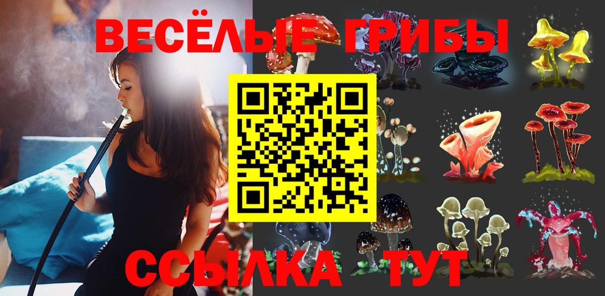 Лосино-Петровский  Галлюциногенные грибы GOLDEN TEACHER  наркота  Вход с VPN 